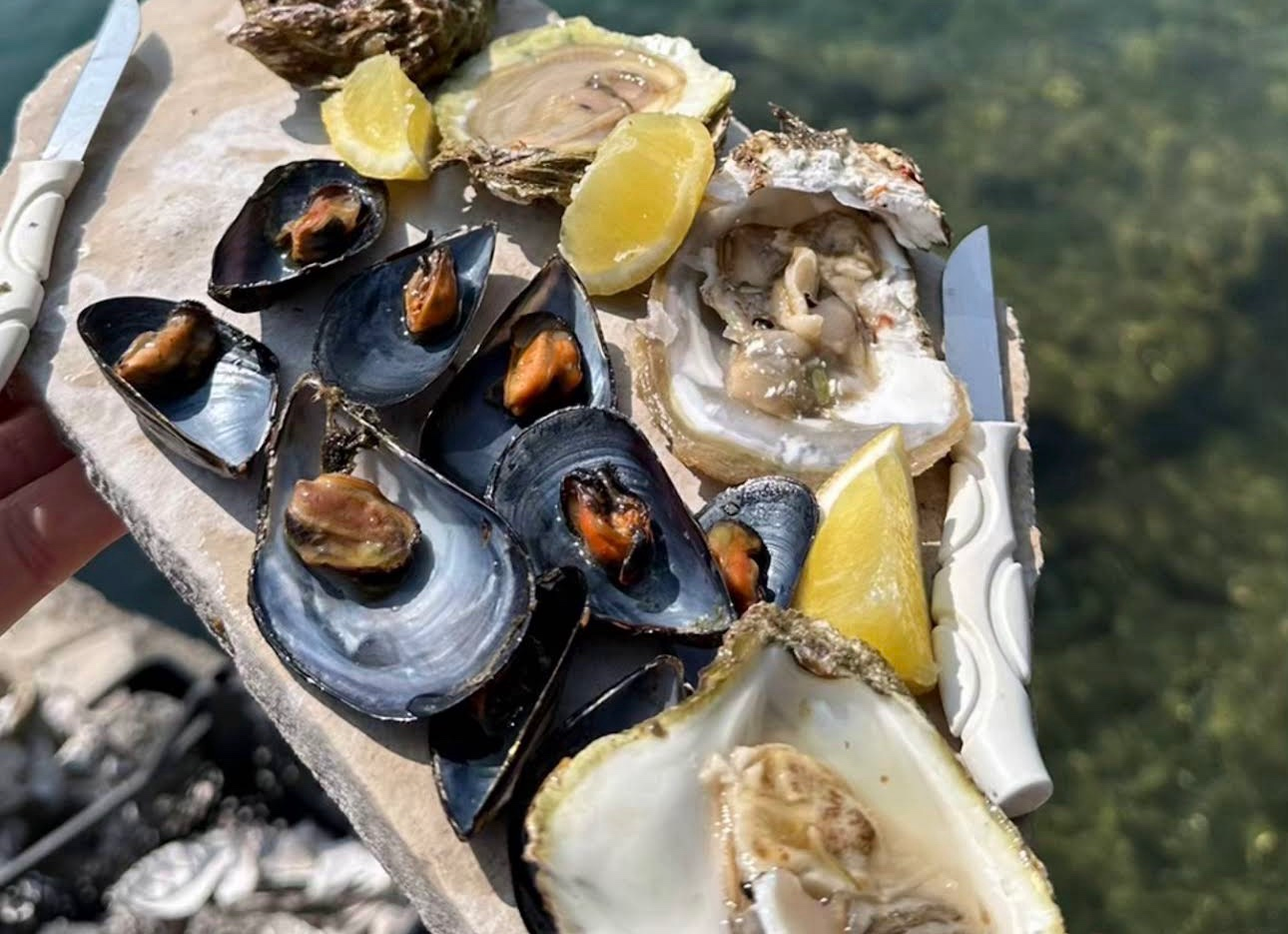 Fresh seafood boat tour with oysters and mussels in Kotor Bay Montenegro